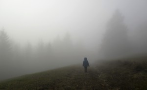 d-walking-into-the-mist